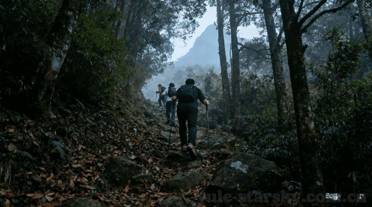 捷克世界杯预赛-捷克世界杯预赛,东欧铁骑的坚韧与希望